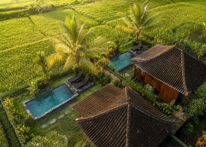 Kayu Eco Ubud