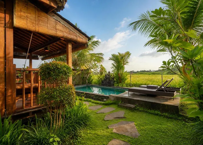 Kayu Eco